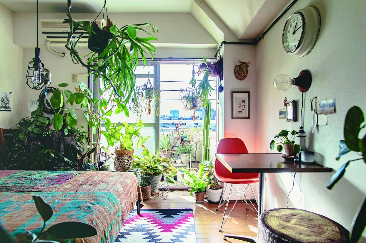 庭まで一直線!楽しさ広がる家づくり